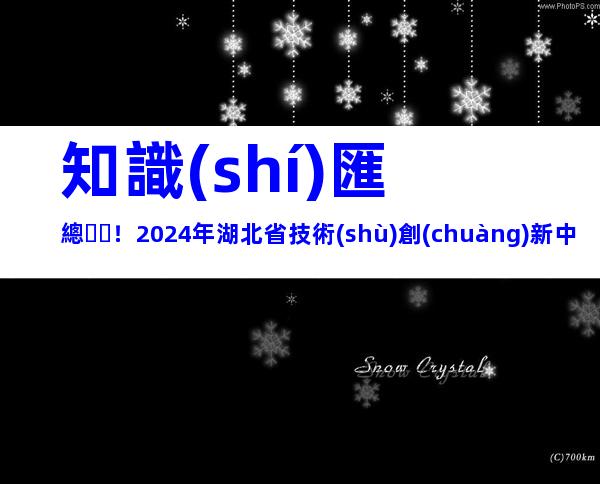 知識(shí)匯總！2024年湖北省技術(shù)創(chuàng)新中心建設(shè)條件、申報(bào)流程及運(yùn)行管理